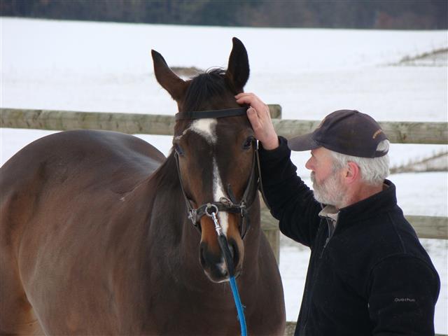 lesecuries_dsc01999_chevaux.jpg