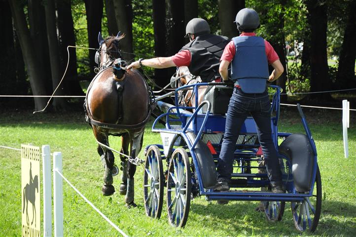 lesecuries_dsc_0465_chevaux.jpg