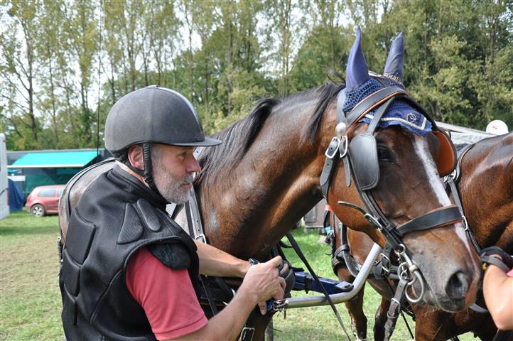 lesecuries_dsc_0523_chevaux.jpg