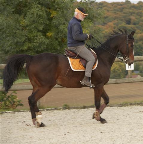 lesecuries_img_1539_chevaux.jpg