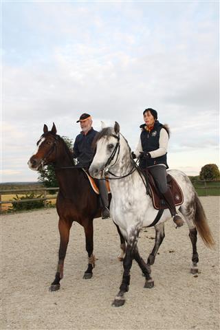lesecuries_img_1570_chevaux.jpg