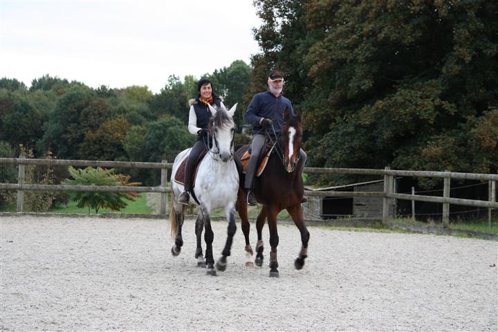 lesecuries_img_1585_chevaux.jpg